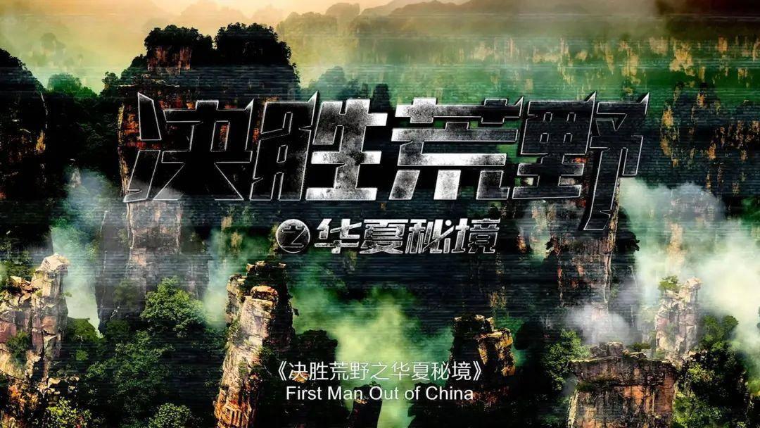 全民烧脑3去广告版