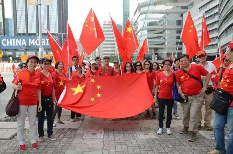 智慧问答网-乌龟不知道吃东西怎么办?专家在线解答问题