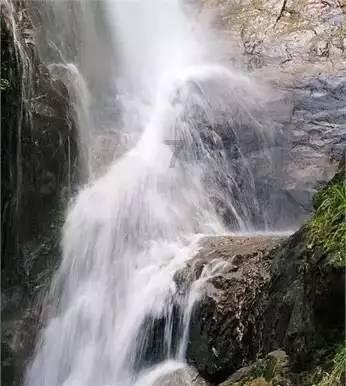 Kimi和双胞胎做蛋糕做得太多了,陈若仪把蛋糕当早餐吃