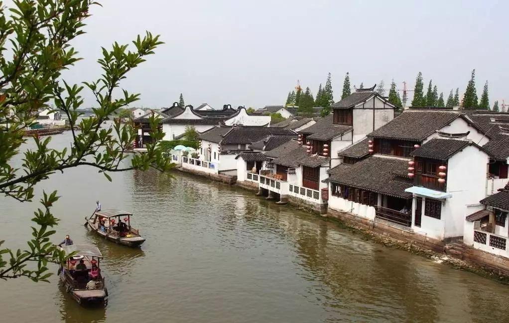 温太医为甄嬛抽血,娘娘患了宫外孕,医护人员的联欢会笑点频出