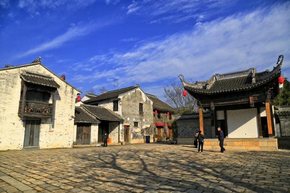 动物帮帮忙保卫家园